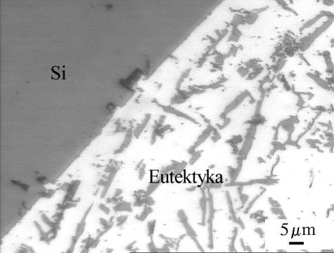 Kryształy krzemu pierwotnego na tle eutektyka + (b). Trawiono 0,5 % HF.