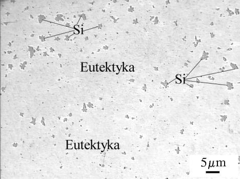 Particle of primary silicon and eutectic phase + (b). Etched 0,5 % HF.