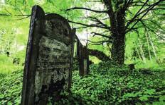 Poznański s Mausoleum, situated there, is known as the World s biggest Jewish tombstone.