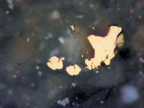 Przejawy mineralizacji kruszcowej w ska³ach nawierconych otworami Trojanowice 2 i Cianowice 2 85 Fig. 1. Mineralizacja kruszcowa w otworze wiertniczym Trojanowice 2 A.