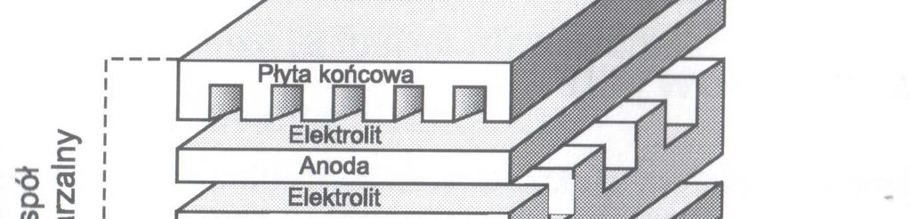 systemowe w ujęciu obszarowym, musi być poprzedzane za każdym razem analizami uwzględniającymi krajowe realia rynkowe.