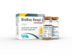 BioBos Respi 4 Inaktywowana szczepionka przeciwko infekcjom dróg oddechowych BRSV, Pi3, Mannheimia (Pasteurella) haemoly ca i wirusowej biegunce bydła BVD.