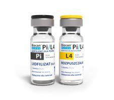 PIES PIES Biocan Novel DHPPi/L4R Złożona szczepionka do aktywnej immunizacji psów od 8-9 tygodnia życia.