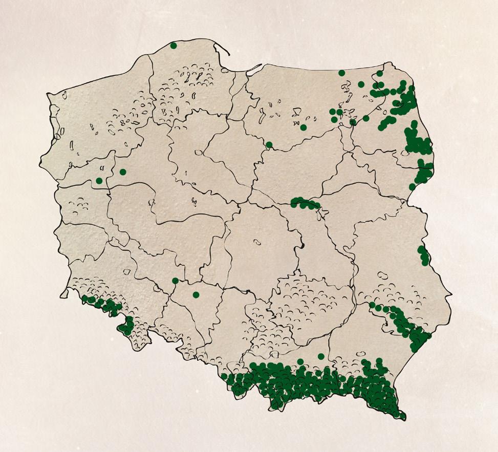 Do informacji na temat występowania danego gatunku dołączyłam również mapkę z zaznaczonymi miejscami, w jakich te zwierzęta można spotkać - dane te również zaznaczyłam