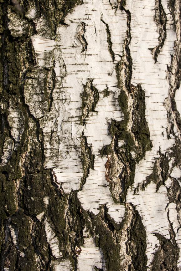 Początkowo nie miałam zamiaru wykorzystywać w swojej pracy fotografii, jednak z biegiem czasu uznałam, że technika ta najbardziej