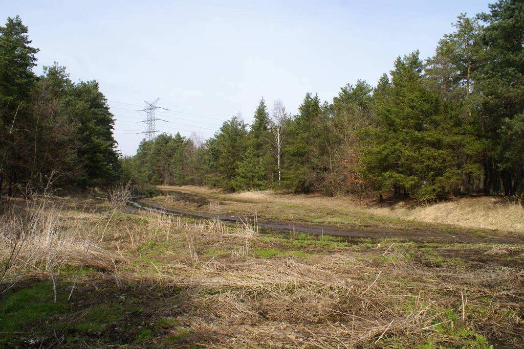 Fotografia 17 Rejon przysiółka leśnego i łąk o nazwie Łuże występujący po prawej i lewej stronie wariantów II/II.1 i IIB/IIB.
