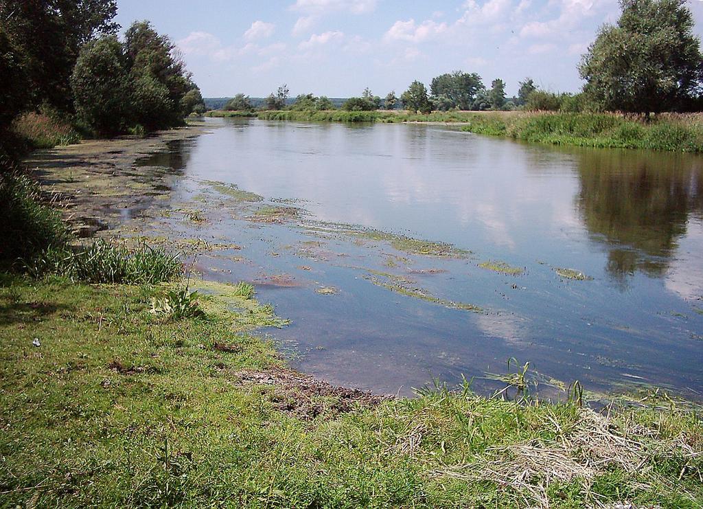 Odcinek bliski naturze - układa się naturalnie, wytworzone meandry - brzegi naturalne, często łagodne linia brzegowa dobrze rozwinięta - spadek odpowiadający