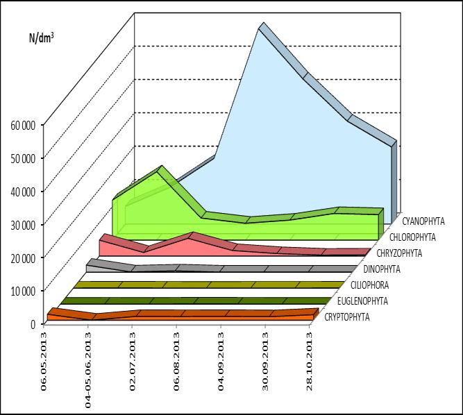 Ryc. 20. Średnia biomasa (bioobjętość) i liczebność fitoplanktonu w wodach Zalewu Wiślanego w 2013 roku Ryc. 21.