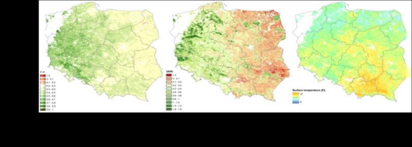 prowadzi badania i uczestniczy w pracach