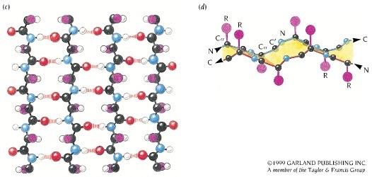 β-kartka