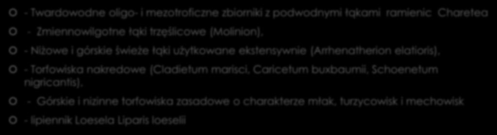 Co jest przedmiotem ochrony na obszarze Natura 2000 (typy siedlisk przyrodniczych, gatunki roślin i zwierząt, które uważa się za cenne i zagrożone wyginięciem w skali całej Europy)?