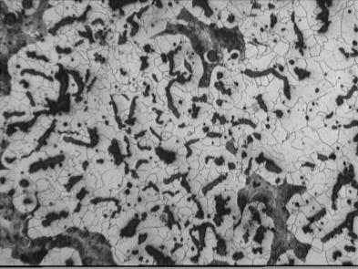 grafitu kulkowego. Zdjęcie skaningowe z mikroskopu JOEL, głębokie trawienie Fig. 2.