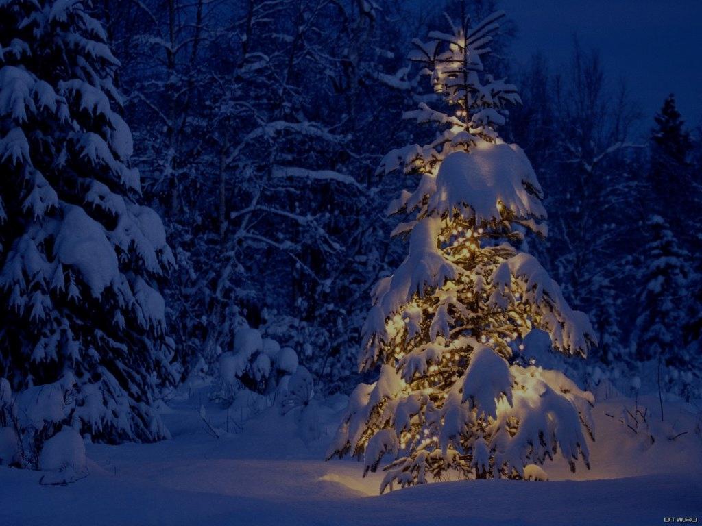 D A D D G A D 1.Wśród nocnej ciszy, głos się rozchodzi: D A D D G A D Wstańcie pasterze, Bóg się wam rodzi! D G A Czym prędzej się wybierajcie, D G A Do Betlejem pospieszajcie D A D przywitać Pana.