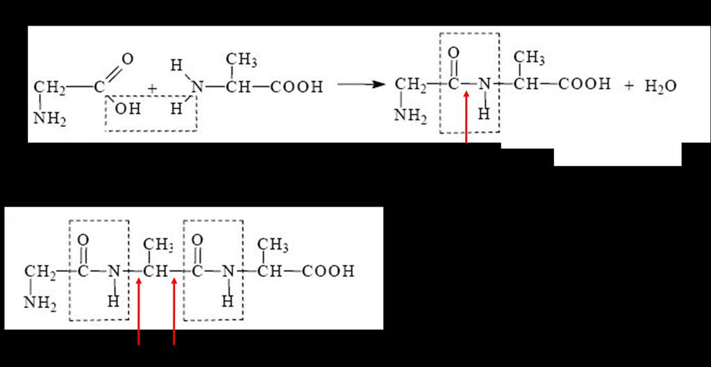 Wartośd ph roztworu, przy którym stężenie jonu obojnaczego (cząsteczki zawierającej tą samą ilośd protonowanych grup aminowych co deprotonowanych grup karboksylowych) osiąga maksymalną wartośd,