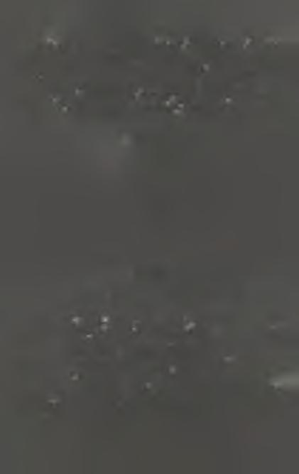 W A m eryce Północnej to okres około 40 lat liczony od mom entu pow stania budynku do mom entu kiedy staje się on przestrzenią biurow ą lub m ieszkalną drugiego gatunku a czasem nawet przeznaczoną do