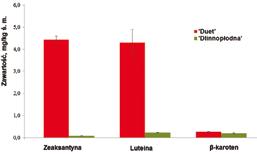 Fig. 2. Content of carotenoids in berries of blue honeysuckle. The results are mean values of three independent determinations Rys. 2. Zawartość karotenoidów w owocach suchodrzewu jadalnego.