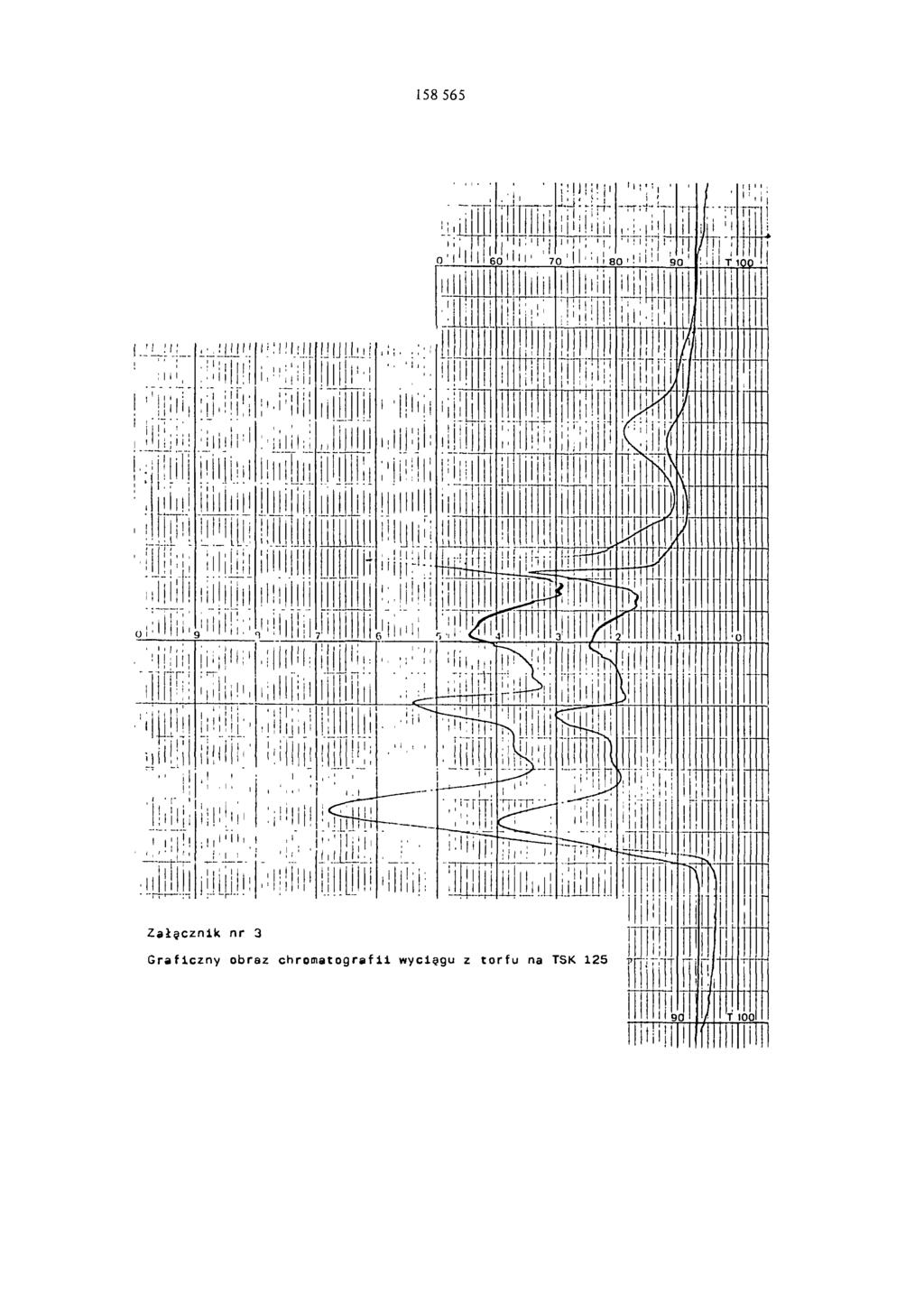 158 565 Załącznik nr 3 Graficzny obraz