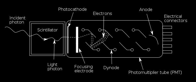 fotoelektrycznego: z.f. wewnętrzne (wzrost