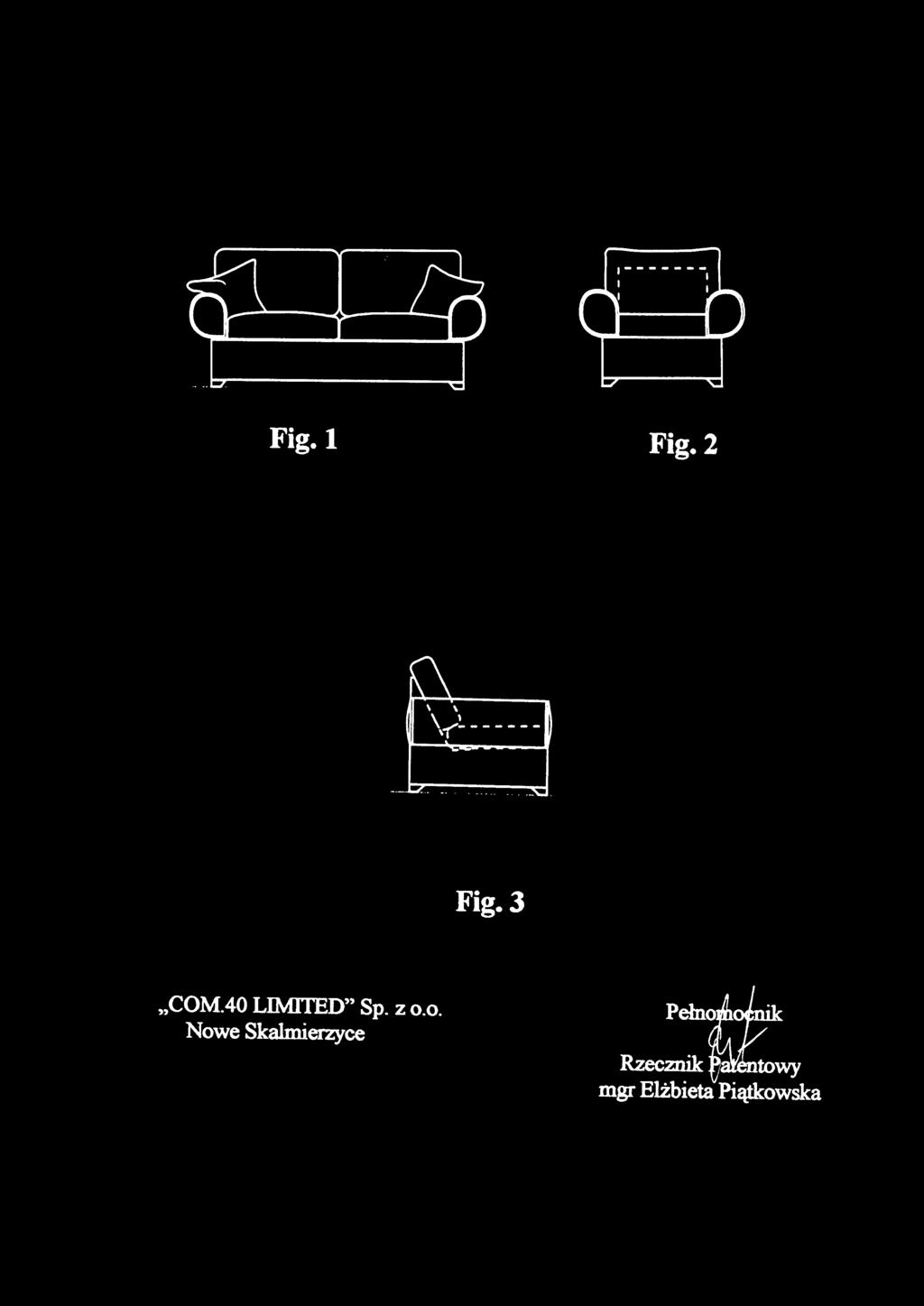 Fig. 3