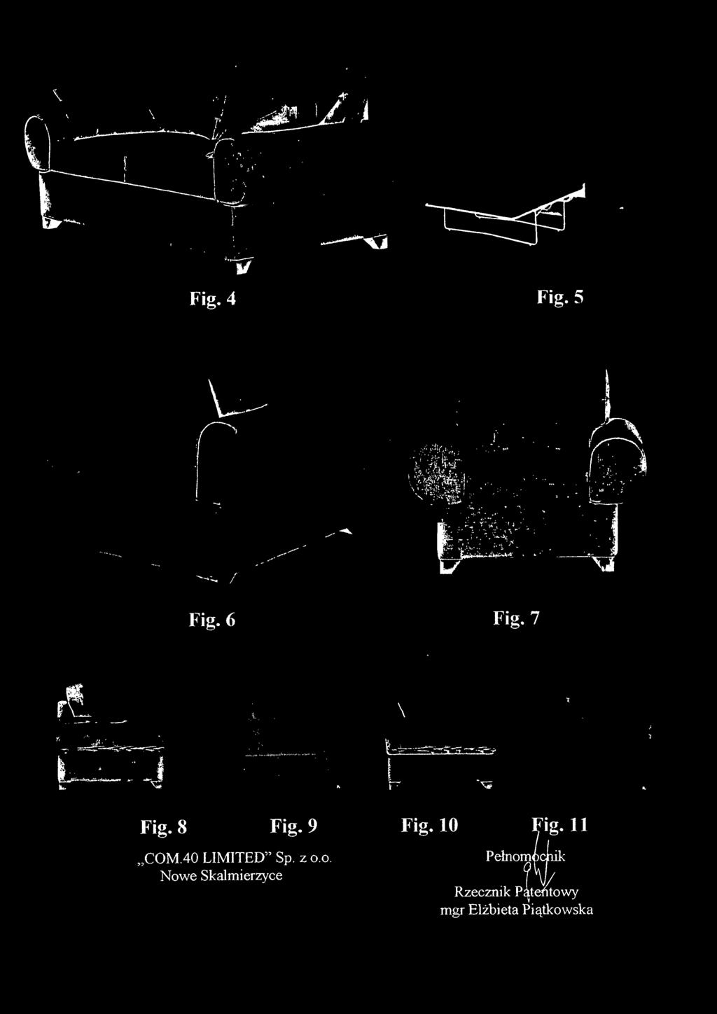 Fig. 8