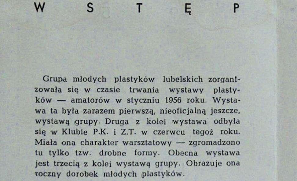 Obrazuje ona roczny dorobek młodych plastyków. Grupa młodych plastyków nie posiada ściśle sprecyzowanego programu artystycznego.