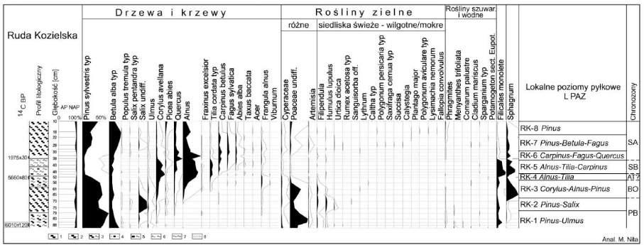 Krzysztof J. Wójcicki, Małgorzata Nita Rys. 6. Uproszczony diagram pyłkowy dla profilu Ruda Kozielska, dolina Rudy oznaczenia litologiczne jak na rys.