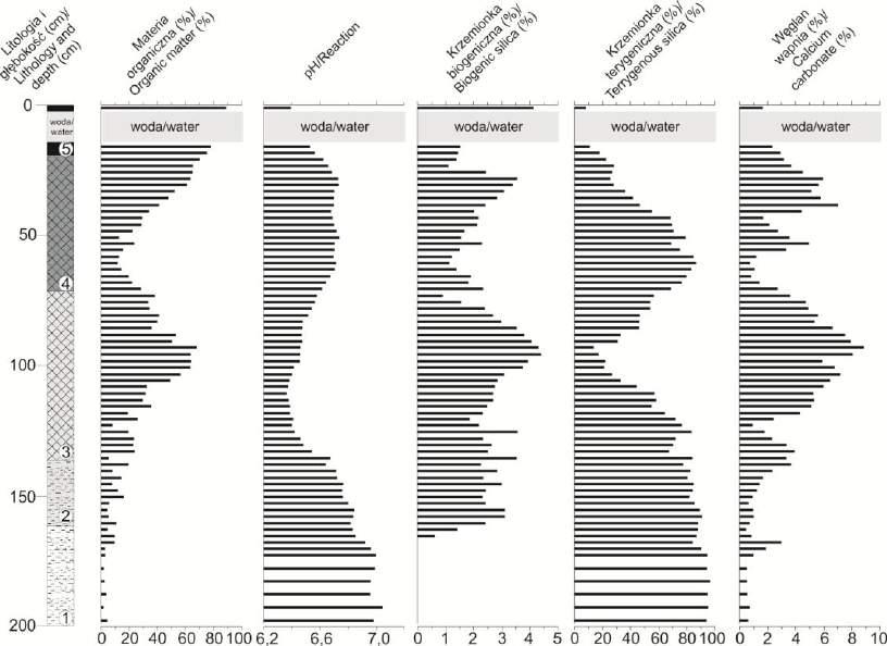 Wstępna charakterystyka geologiczna i paleobotaniczna mokradła w Kopytkowie na tle analizy Rys. 2. Mokradło Kopytkowo.