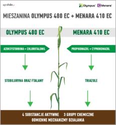 .pl https://www..pl Propozycja mieszaniny od firmy Syngenta skupia się na zastosowaniu do zabiegu T2 skutecznych i sprawdzonych substancji aktywnych.