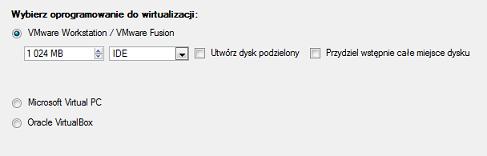 Określ dostawcę oprogramowania do wirtualizacji i liczbę dodatkowych parametrów, włączając w to: Typ dysku wirtualnego.