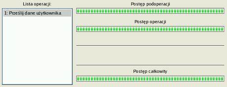 W oknie Postępu wyświetlany jest szczegółowy raport w czasie rzeczywistym zawierający informacje na temat wszystkich akcji wykonywanych przez program. 11.