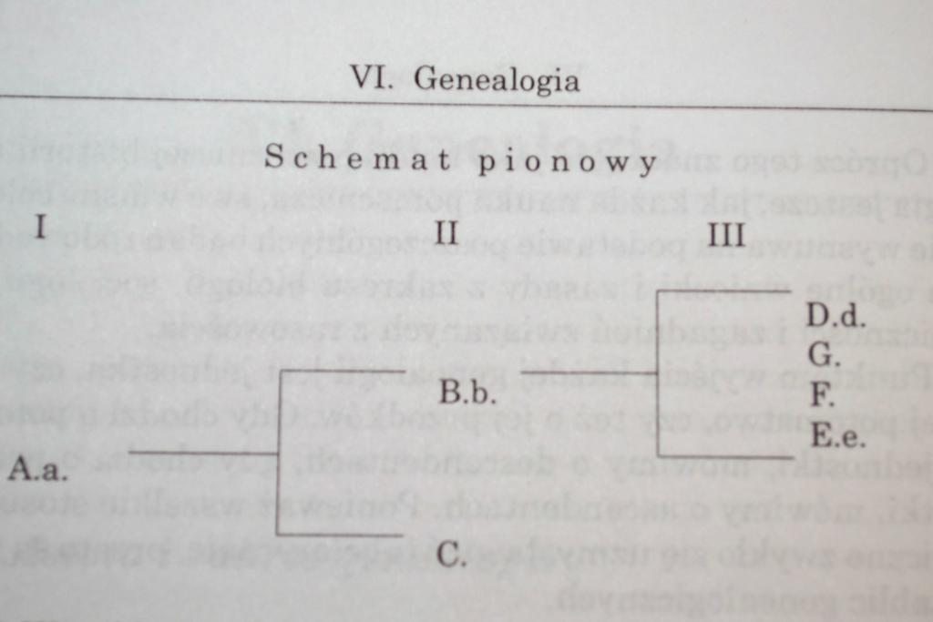 Przykłady schematów