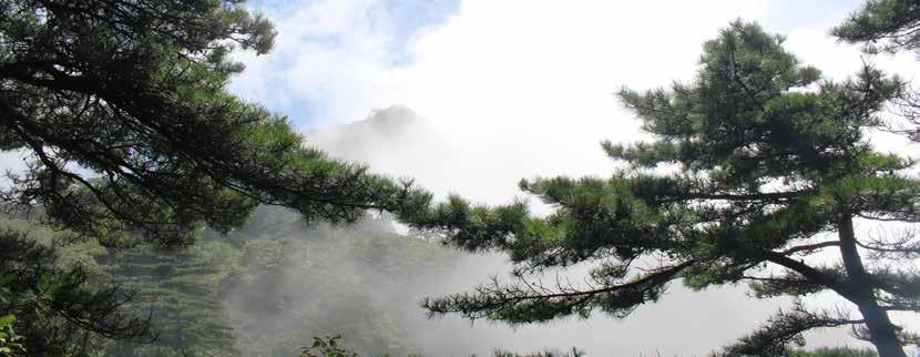 旅游 Podróże 风景区内, 也随处可见中英韩三语的 利娜 迈尔库里文化景观保护与管理荣 及自然与文化遗产的景区 指示牌, 有标志路线的, 当然也有提 誉奖 世界旅游业理事会颁发的 全 在这里, 我们的资本就是山, 示人们注意环保的 这些指示牌随时 球旅游目的地管理奖 及 明日旅游业 中国改革开放总设计师邓小平曾在黄 大美黄山 -- 天然氧吧 提醒人们不要随地乱扔垃圾, 注意垃圾分类等等