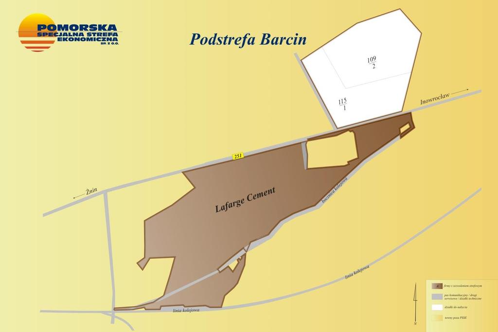 Piechcin sąsiaduje z podstrefą Pomorskiej Specjalnej Strefy Ekonomicznej w Barcinie położoną wzdłuż drogi wojewódzkiej nr 251 Inowrocław Żnin. Strefa zajmuje powierzchnię 100 ha.