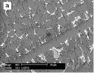 Effect of Tungsten Content on the Corrosion Resisntance of the Cobalt Base PTA Cladding Layers Rys.1.