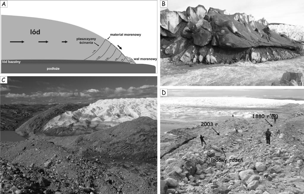 200 Karol Tylmann o tzw. wałach lodowo-morenowych, które dość licznie spotykane są w bliskim sąsiedztwie czoła omawianego lodowca (ryc. 3D