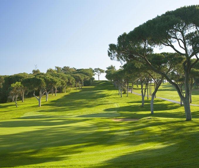 POLA GOLFOWE Old Course Jedno z najsłynniejszych pól w regionie.