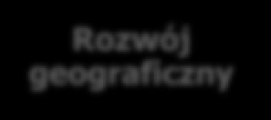 (Niemcy, UK, Włochy), CIS (Rosja) i CEE; Rozwój oportunistyczny reszta świata; Przyspieszenie rozwoju: M&A.