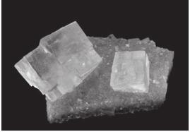 Kryštalizácia kamennej soli Halit (kamenná soľ) chlorid sodný NaCl je minerál každodennej ľudskej potreby a nachádza sa v každej domácnosti.