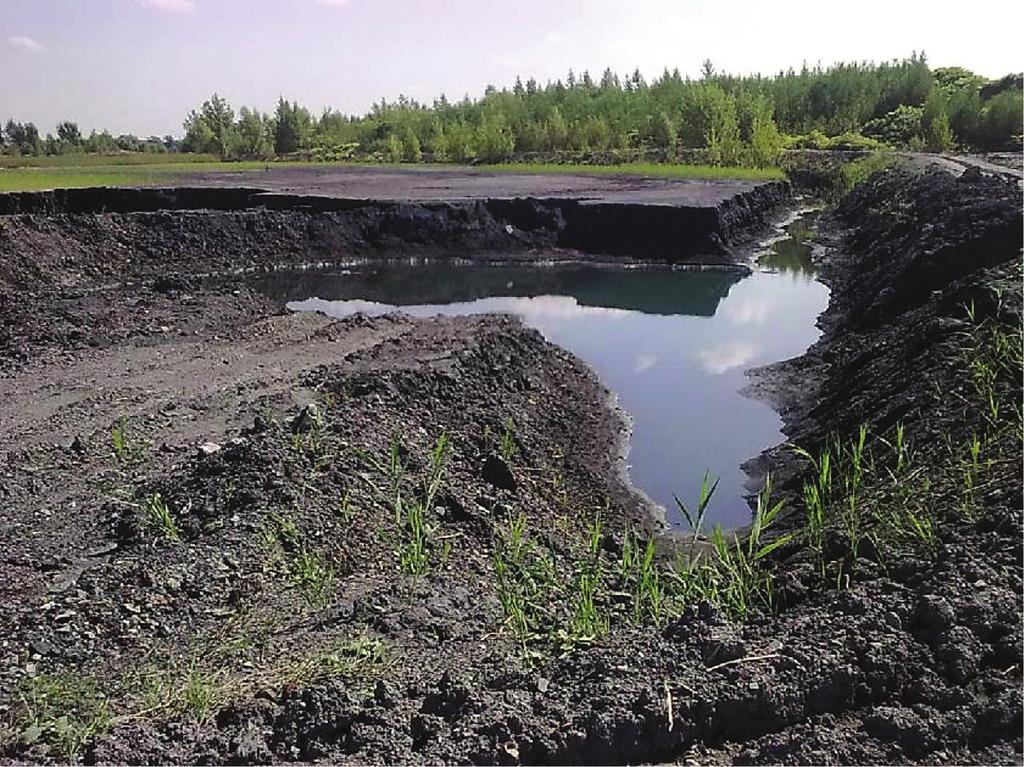 Działa w ramach Ecocoal Consulting Center w Katowicach na rzecz górnictwa