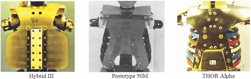 Poszczególne żebra w modułach klatki piersiowej manekinów (Rys. 3) zbudowane są z kompozytu stali sprężystej oraz wiskoelastycznego materiału tłumiącego.