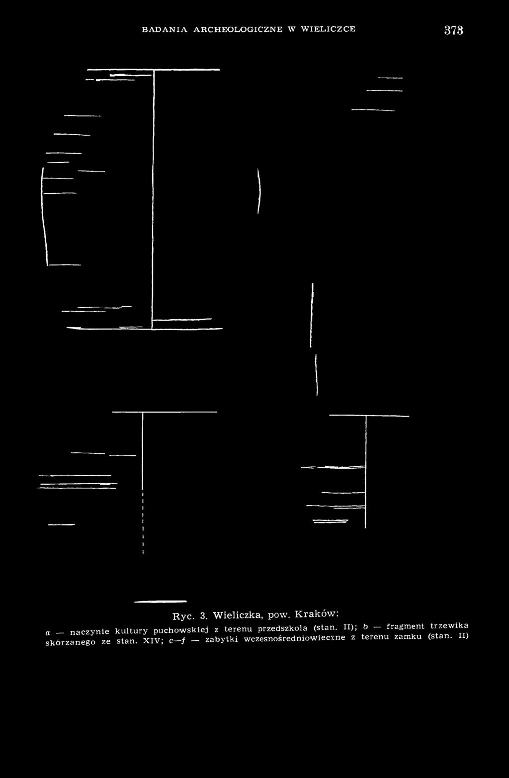 (stan. II); b - fragment trzewika skórzanego ze stan.