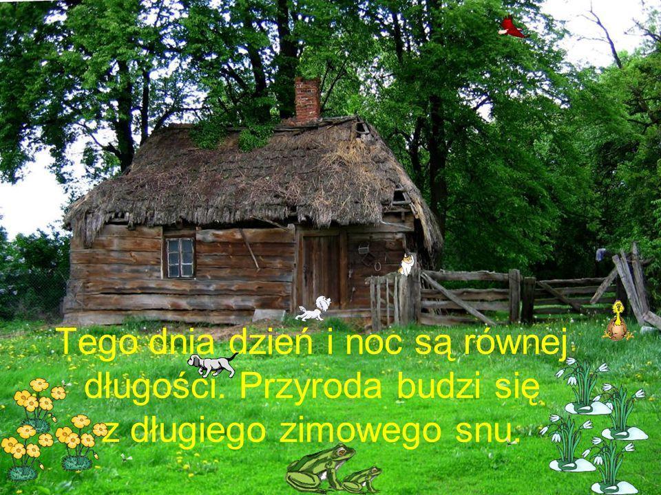 PIERWSZY DZIEŃ WIOSNY Dla wielu z nas pierwszy dzień wiosny jest długo oczekiwanym momentem. Na dworze robi się coraz cieplej, a dni są coraz dłuższe, co sprzyja spacerom na świeżym powietrzu.