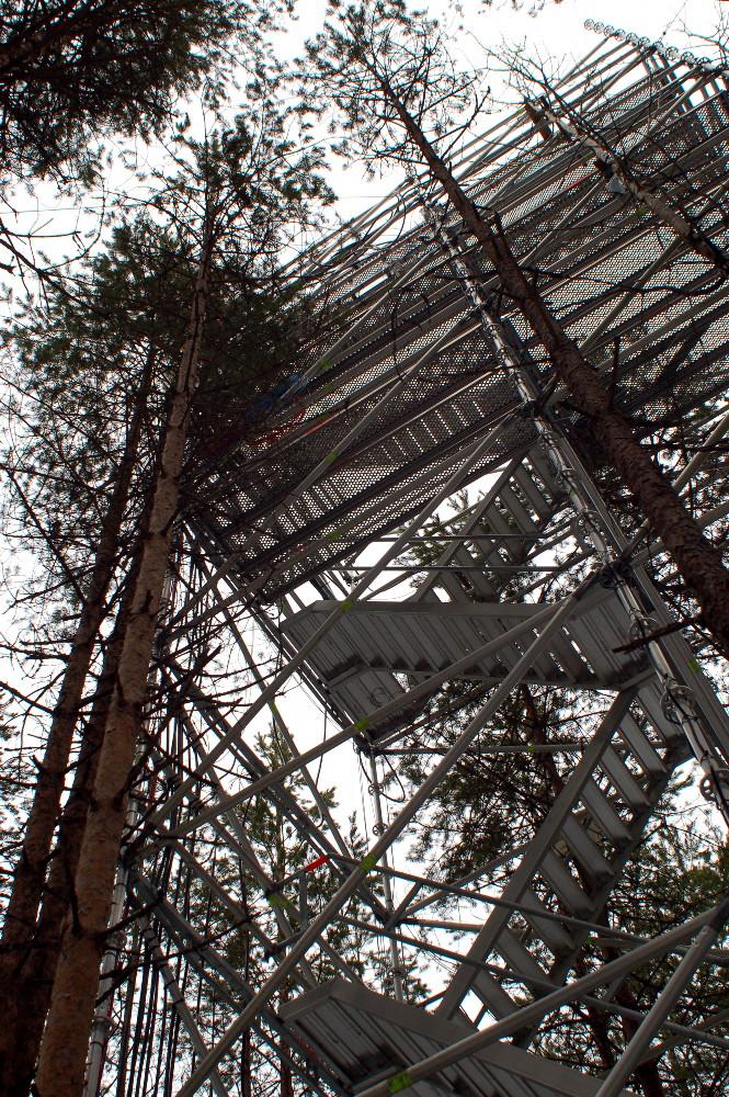 Front Page Information Teaching Research Links History : Hyytiälä Forestry Field Station is part of