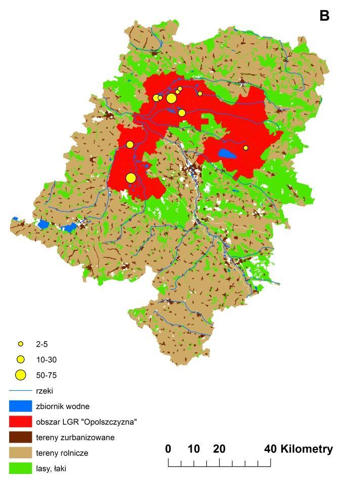 Przeciętna dobowa liczba odwiedzin ptaków