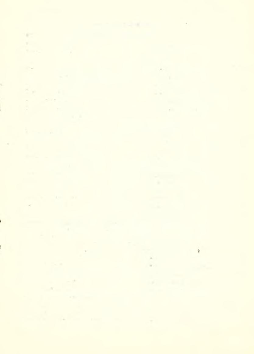 P isarze i Poeci L ilian a B ardijew ska Bogdan Chorążuk Irena Conti S tan isław H orak Eugeniusz K abatc J u lia n Kawalec Tadeusz K ijonka J a n Koprowski Edw ard K urow