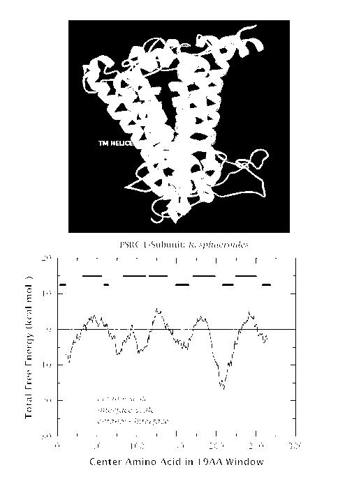 Przykład wykresu hydropatyczności białka przy użyciu różnych skali hydrofobowych Wykres hydropatyczności ma na celu prezentację rozkładu polarnych i niepolarnych grup wzdłuż