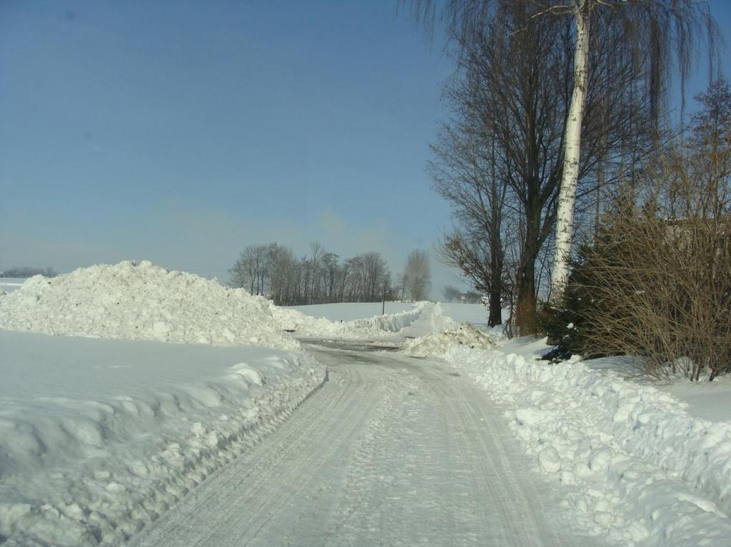 NA TERENIE GMINY PROSZOWICE