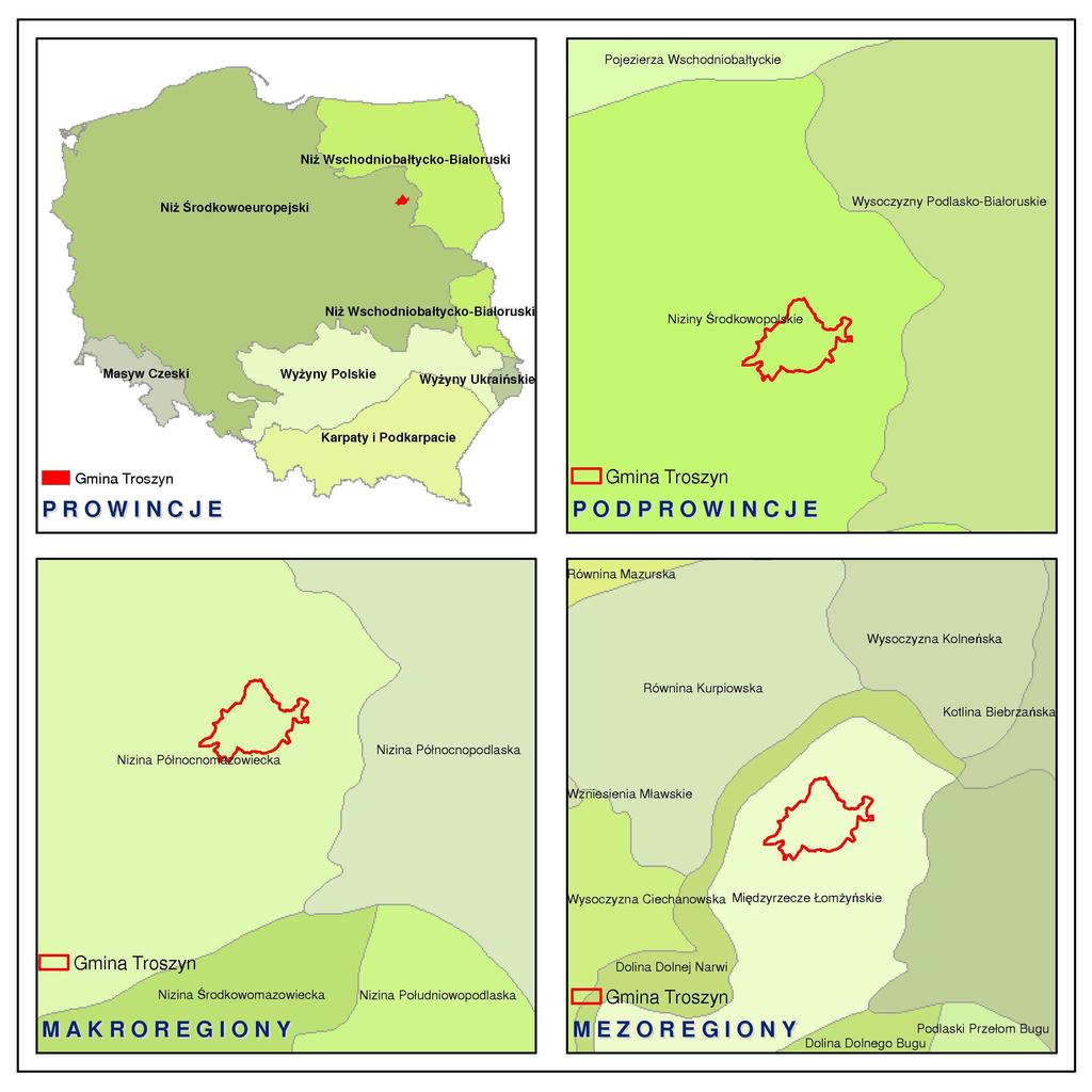 Gmina Troszyn, według klasyfikacji dziesiętnej na jednostki fizyczno-geograficzne Międzynarodowej Federacji Dokumentacyjnej (FID) (opisanej przez Jerzego Kondrackiego, w Geografia regionalna Polski,