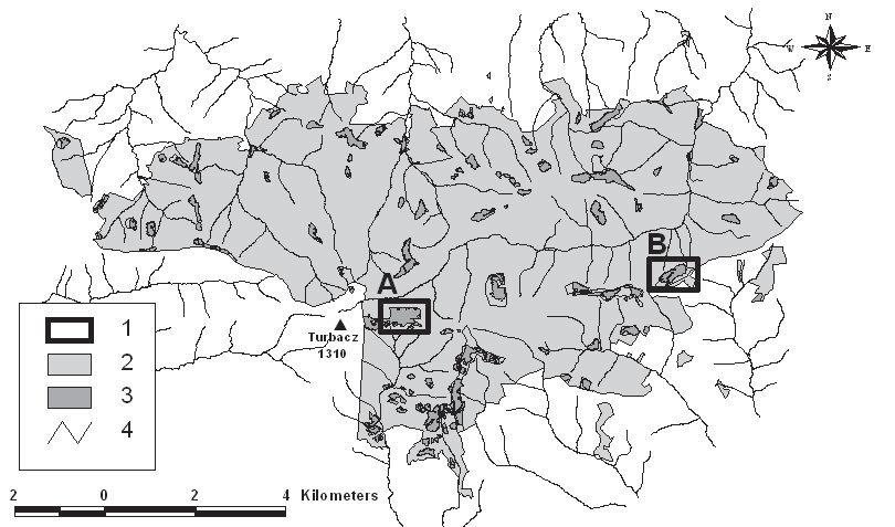 Jan Loch Wpływ wypasu owiec i koszenia na dynamikę liczebności łąkami górskimi występującymi w piętrach reglowych Karpat Zachodnich.