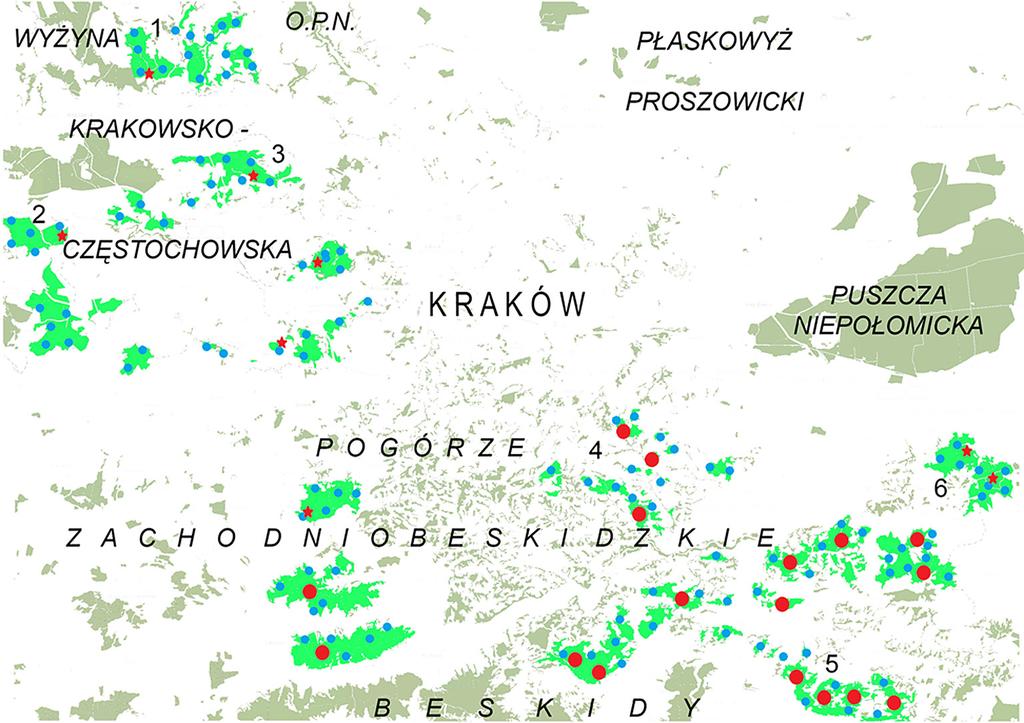 W niniejszej pracy podsumowano dane o rozmieszczeniu terytoriów puszczyków zwyczajnego i uralskiego w pofragmentowanych lasach centralnej Małopolski, charakteryzujących się obecnością niewielkich